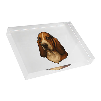 Basset Hound Head Acrylic Photo Block
