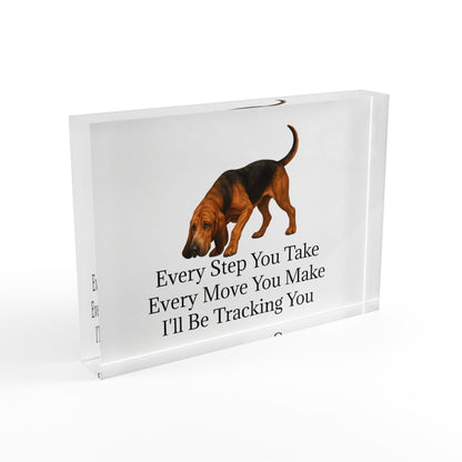 Tracking You Acrylic Photo Block