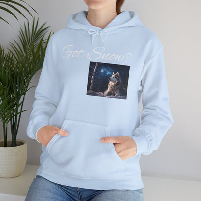 Got Snow? Unisex Hoodie