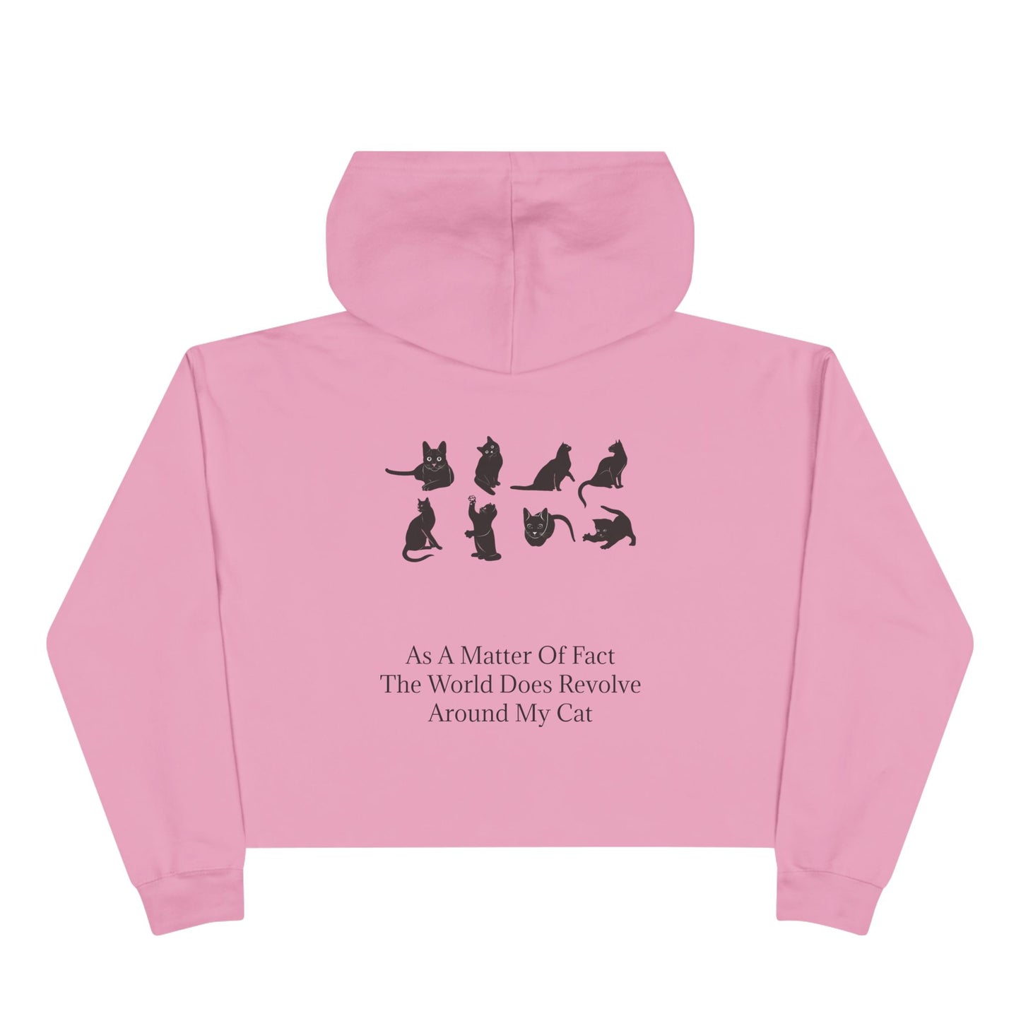 Matter Of Fact Cat Women's Crop Hoodie