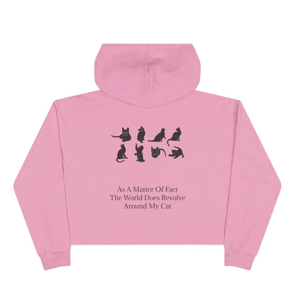 Matter Of Fact Cat Women's Crop Hoodie