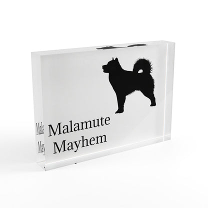 Malamute Mayhem Acrylic Photo Block