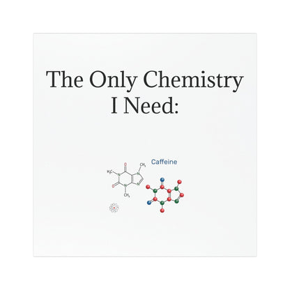Chemistry Lesson Indoor/Outdoor Magnet
