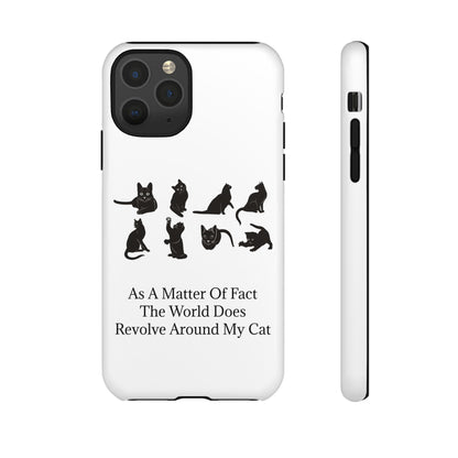 Matter Of Fact Cat iPhone Case
