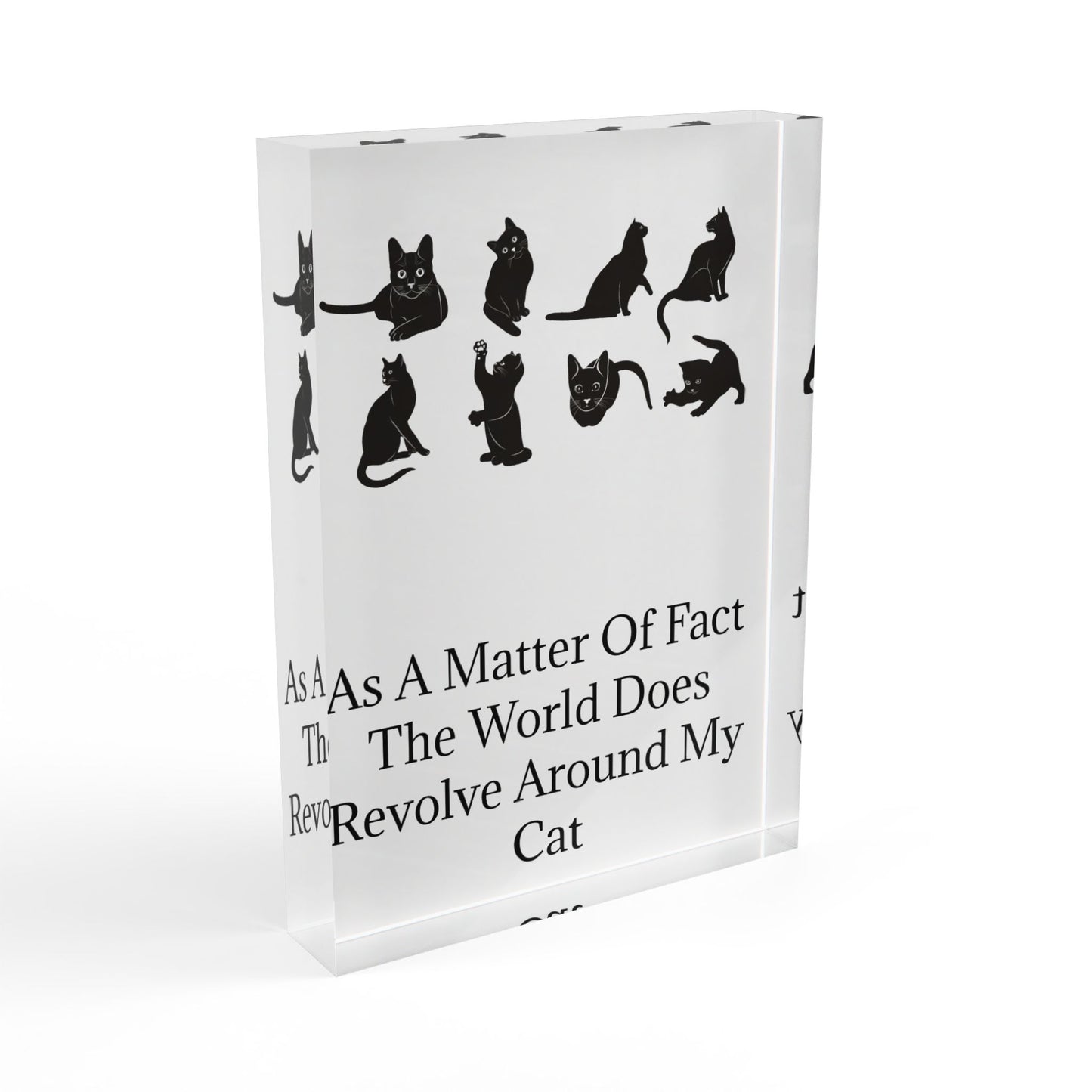Matter Of Fact Cat Acrylic Photo Block