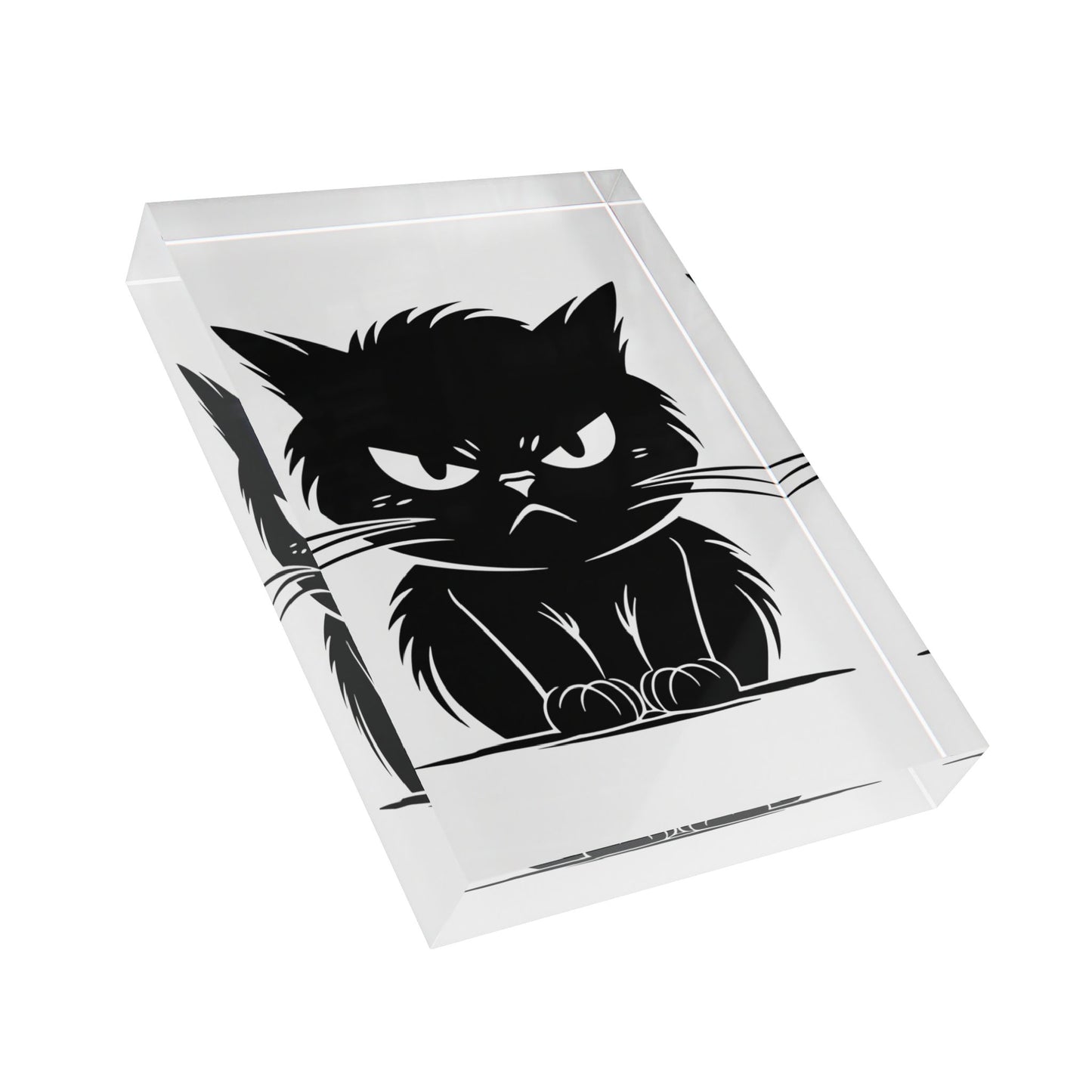 Angry Cat Acrylic Photo Block