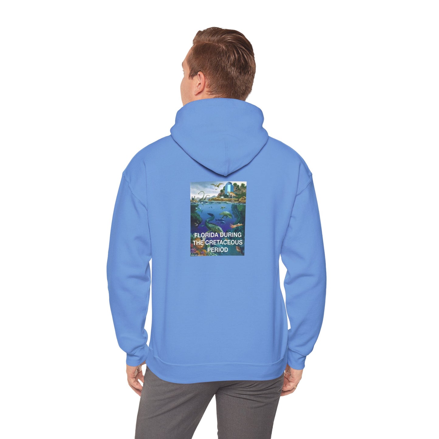 I-4 Eyesore Unisex Hoodie