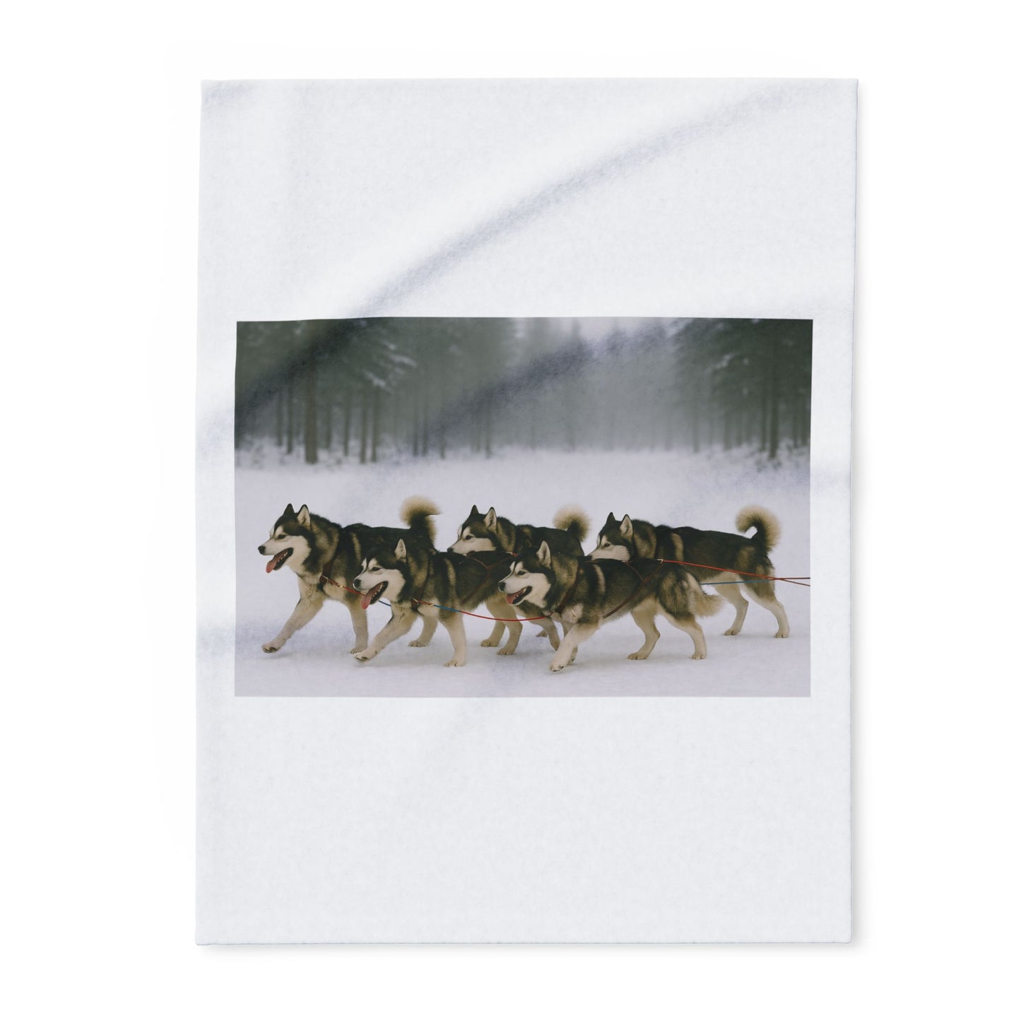 Mush On Arctic Fleece Blanket