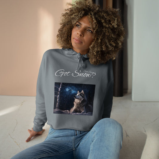 Got Snow? Women's Crop Hoodie