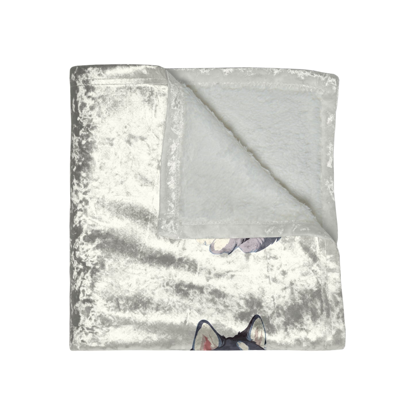Malamute Head Crushed Velvet Blanket