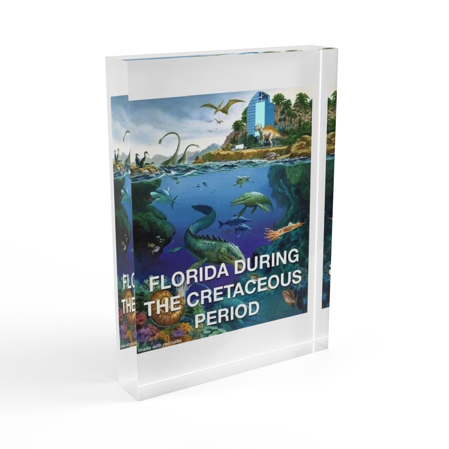 I-4 Eyesore Acrylic Photo Block
