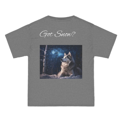 Got Snow? Men's Short-Sleeve Crewneck Tee