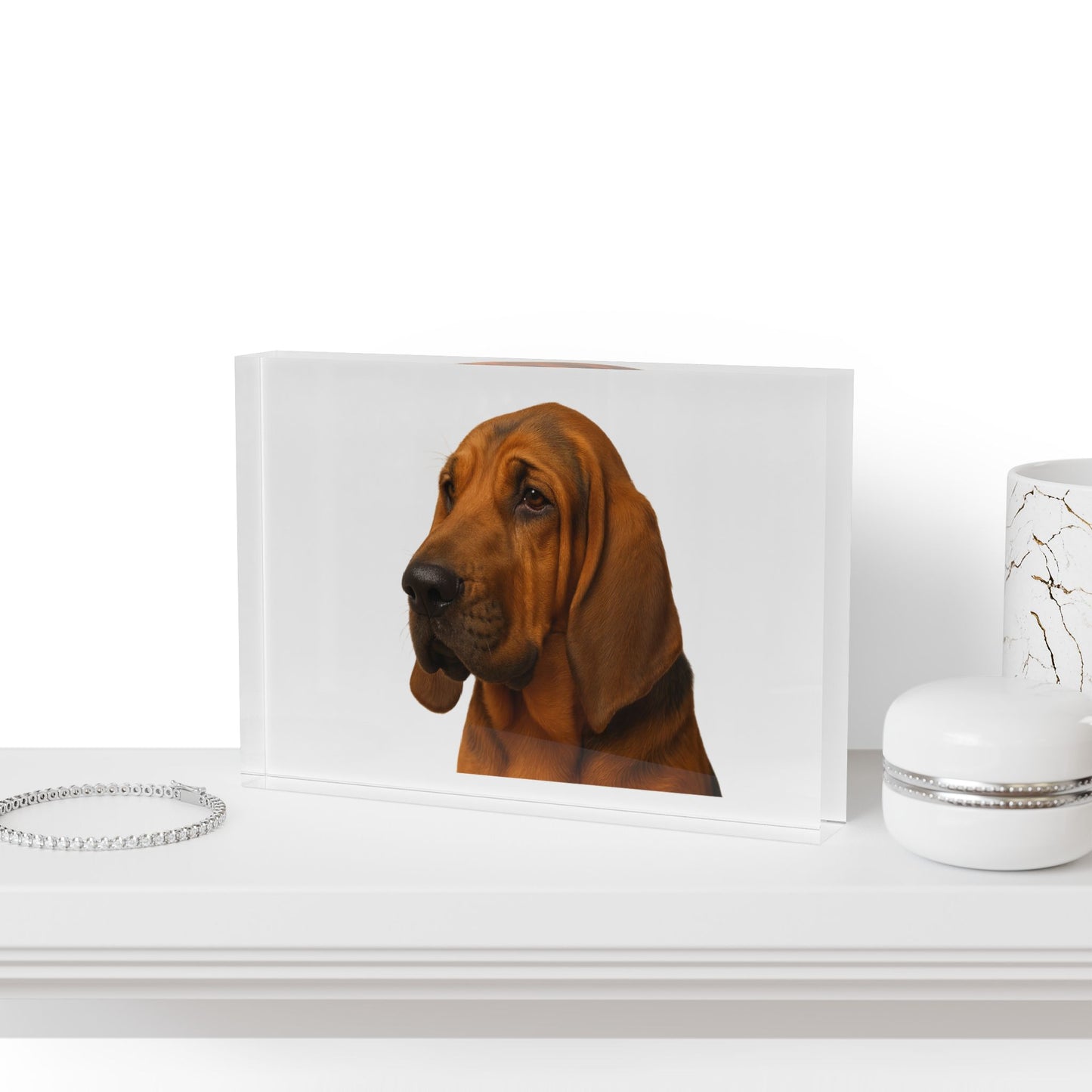 Bloodhound Head Acrylic Photo Block