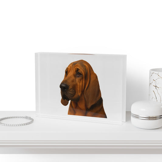 Bloodhound Head Acrylic Photo Block