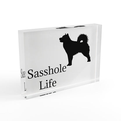 Sasshole Life Acrylic Photo Block