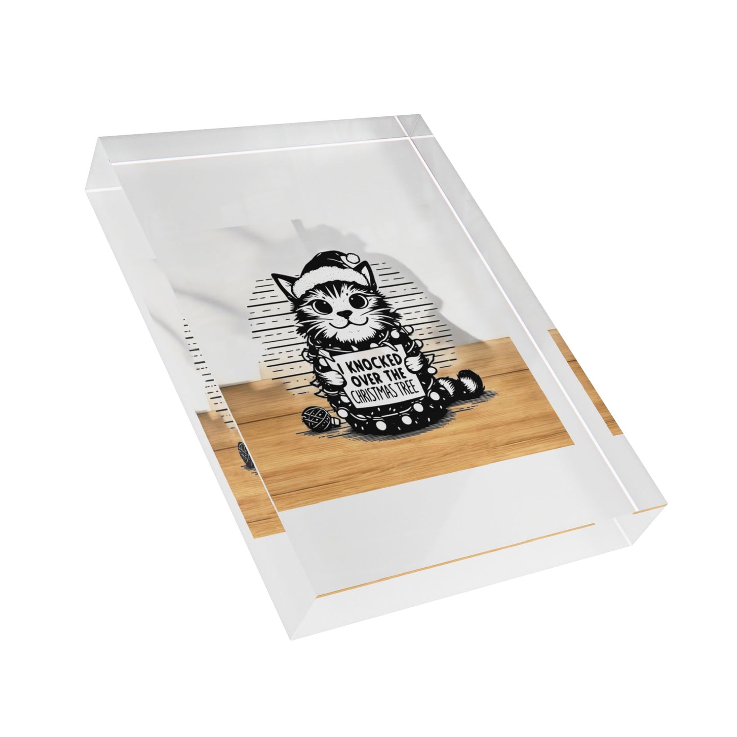 Naughty Cat Acrylic Photo Block