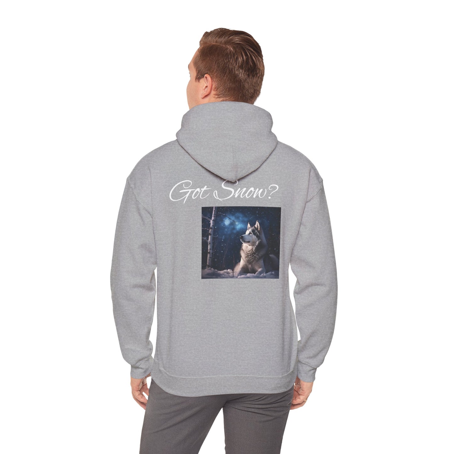 Got Snow? Unisex Hoodie
