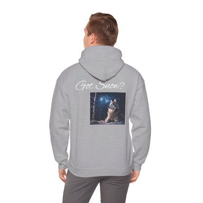 Got Snow? Unisex Hoodie