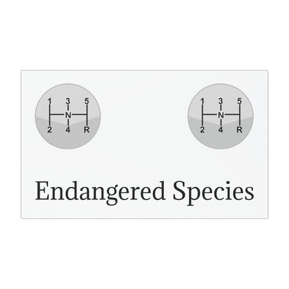 Endangered Species Indoor/Outdoor Magnet