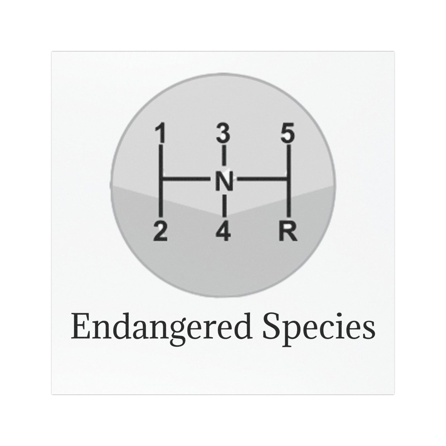 Endangered Species Indoor/Outdoor Magnet