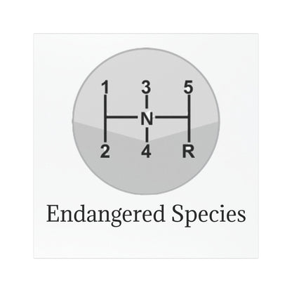 Endangered Species Indoor/Outdoor Magnet