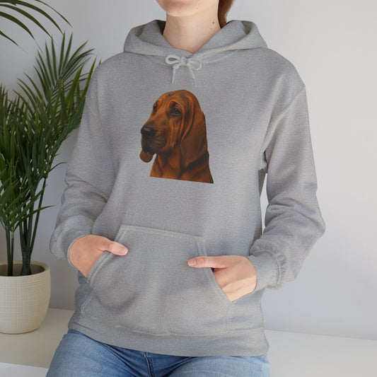 Bloodhound Head Unisex Hoodie