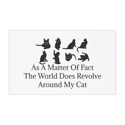 Matter Of Fact Cat Indoor/Outdoor Magnet
