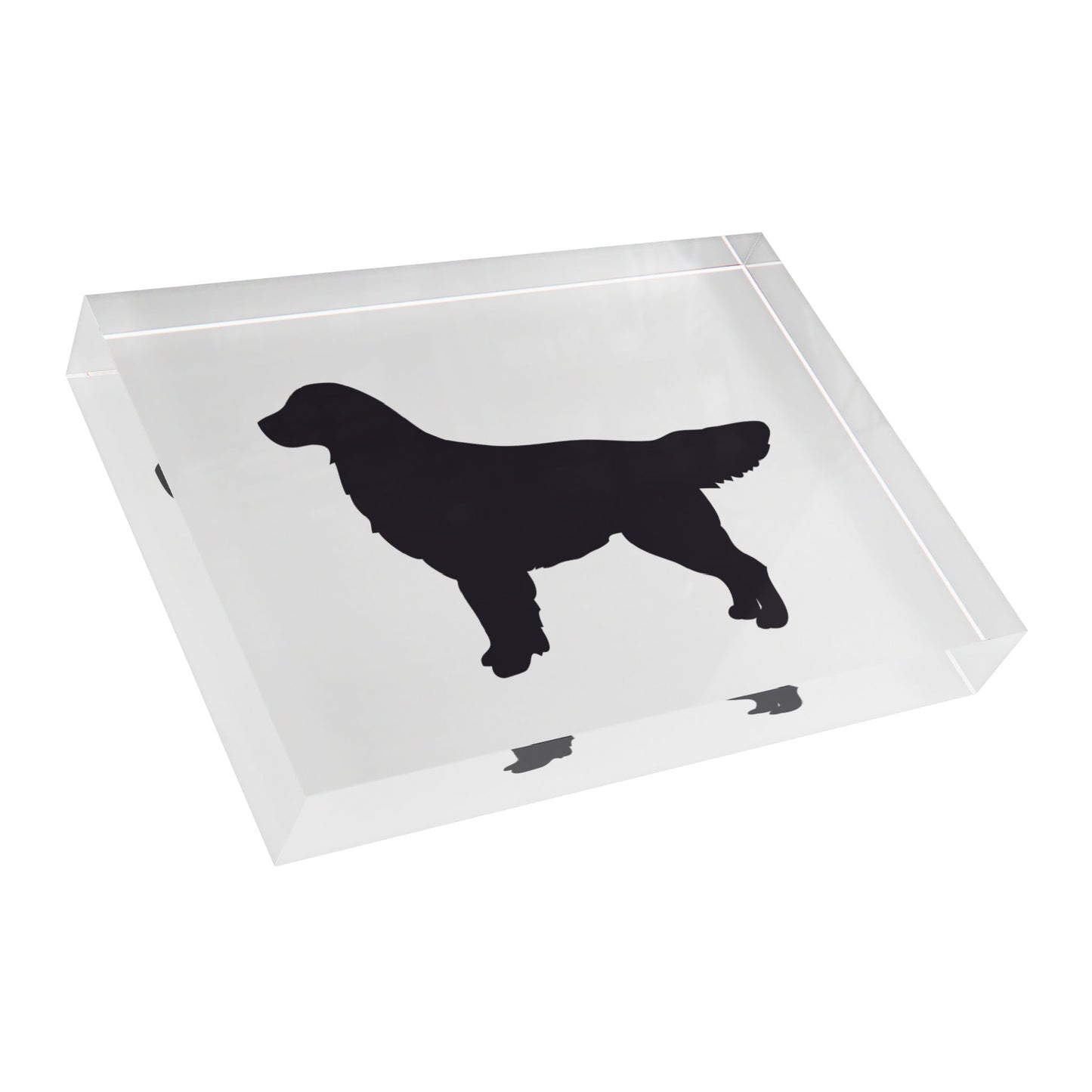 Golden Silhouette Acrylic Photo Block