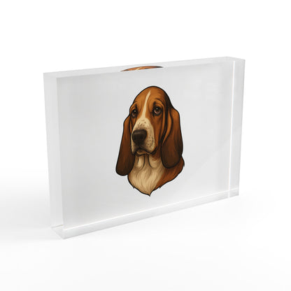 Basset Hound Head Acrylic Photo Block