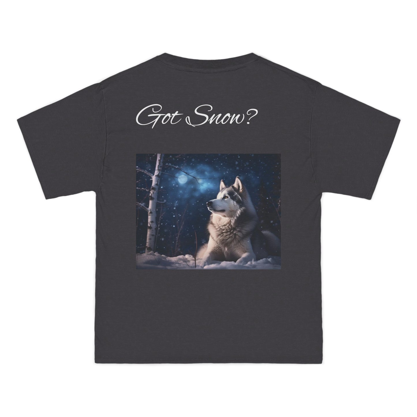 Got Snow? Men's Short-Sleeve Crewneck Tee