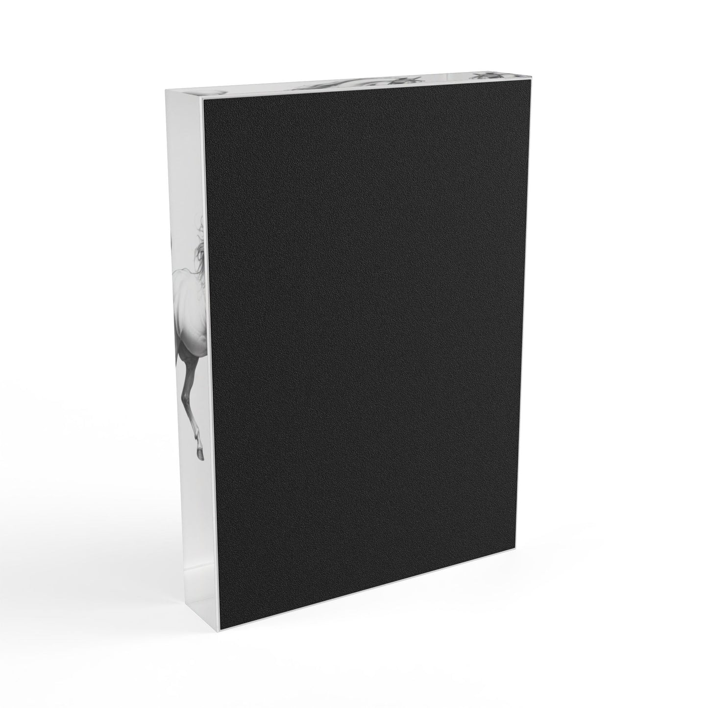 Fancy Pants Acrylic Photo Block