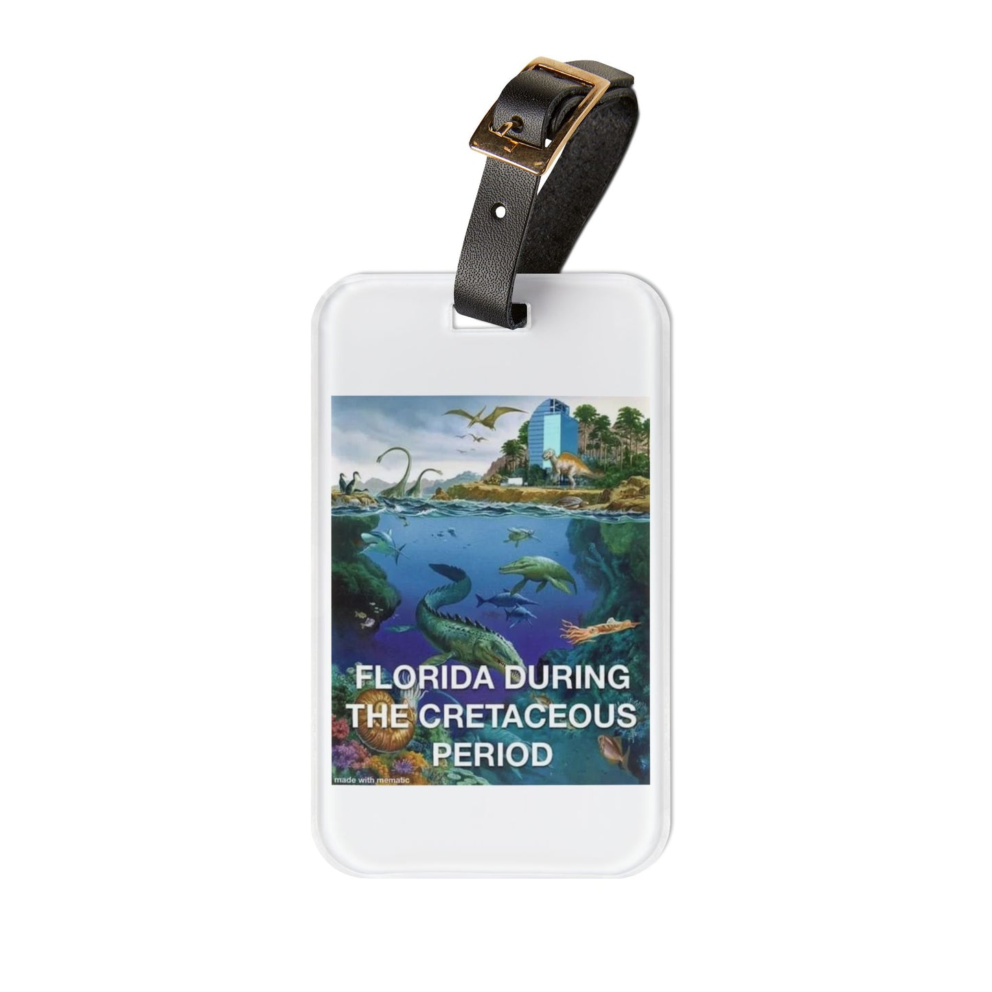 I-4 Eyesore Leather Strap Luggage Tag