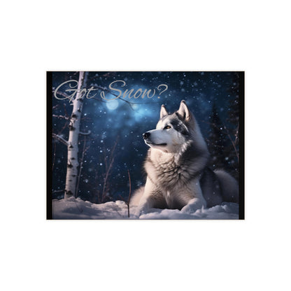 Got Snow? Ceramic Photo Tile