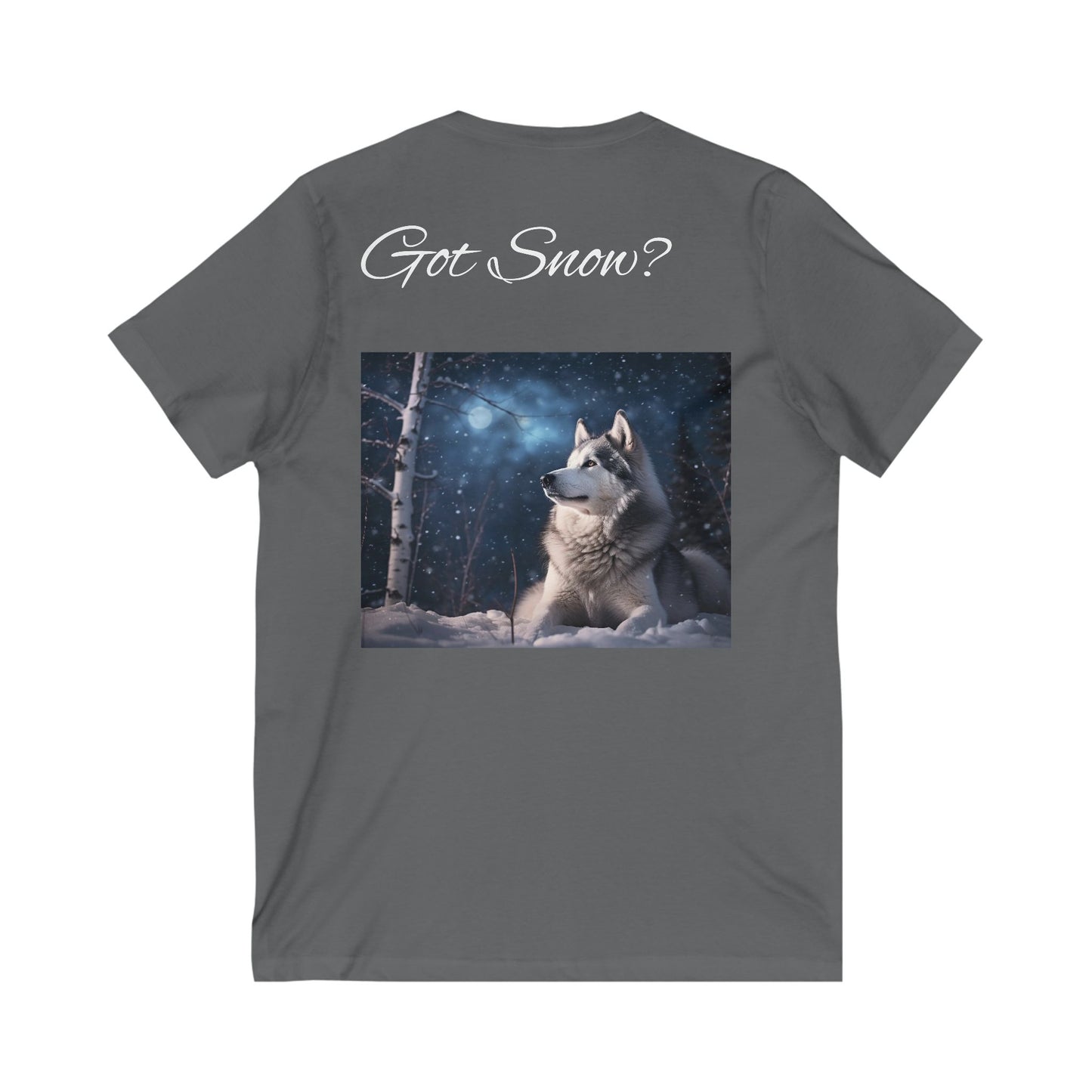 Got Snow? Unisex Short Sleeve V-Neck Tee