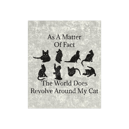 Matter Of Fact Cat Crushed Velvet Blanket