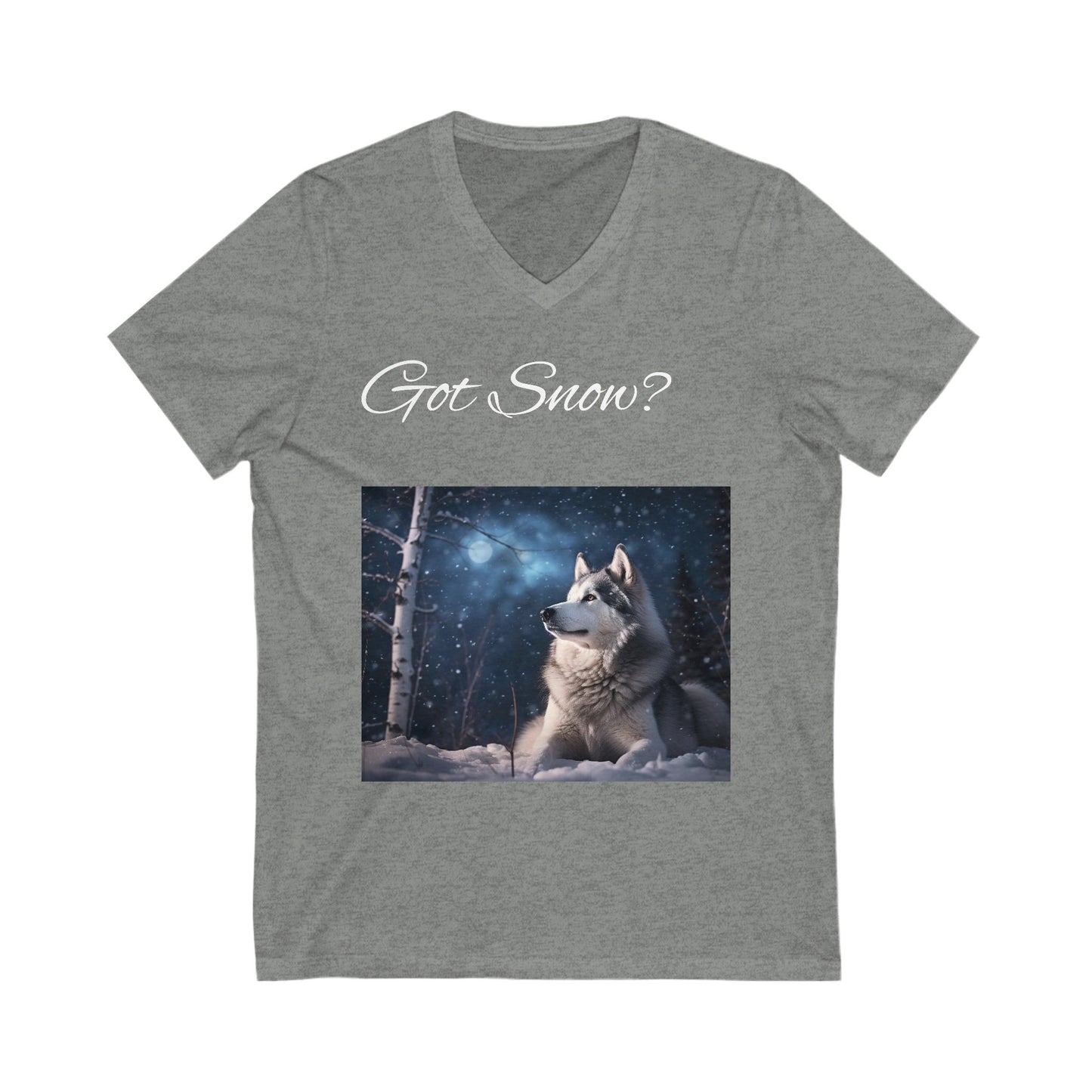 Got Snow? Unisex Short Sleeve V-Neck Tee