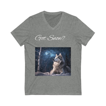 Got Snow? Unisex Short Sleeve V-Neck Tee