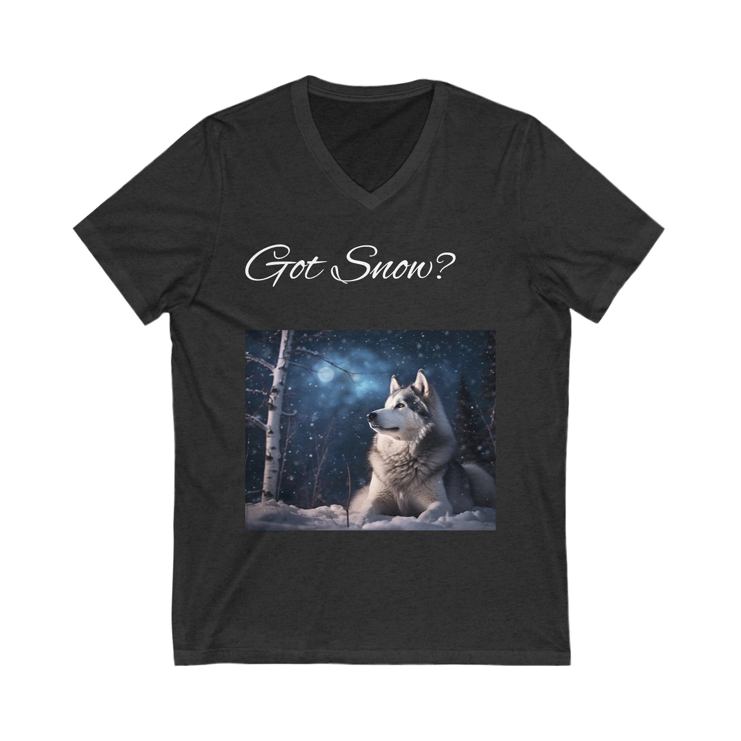 Got Snow? Unisex Short Sleeve V-Neck Tee