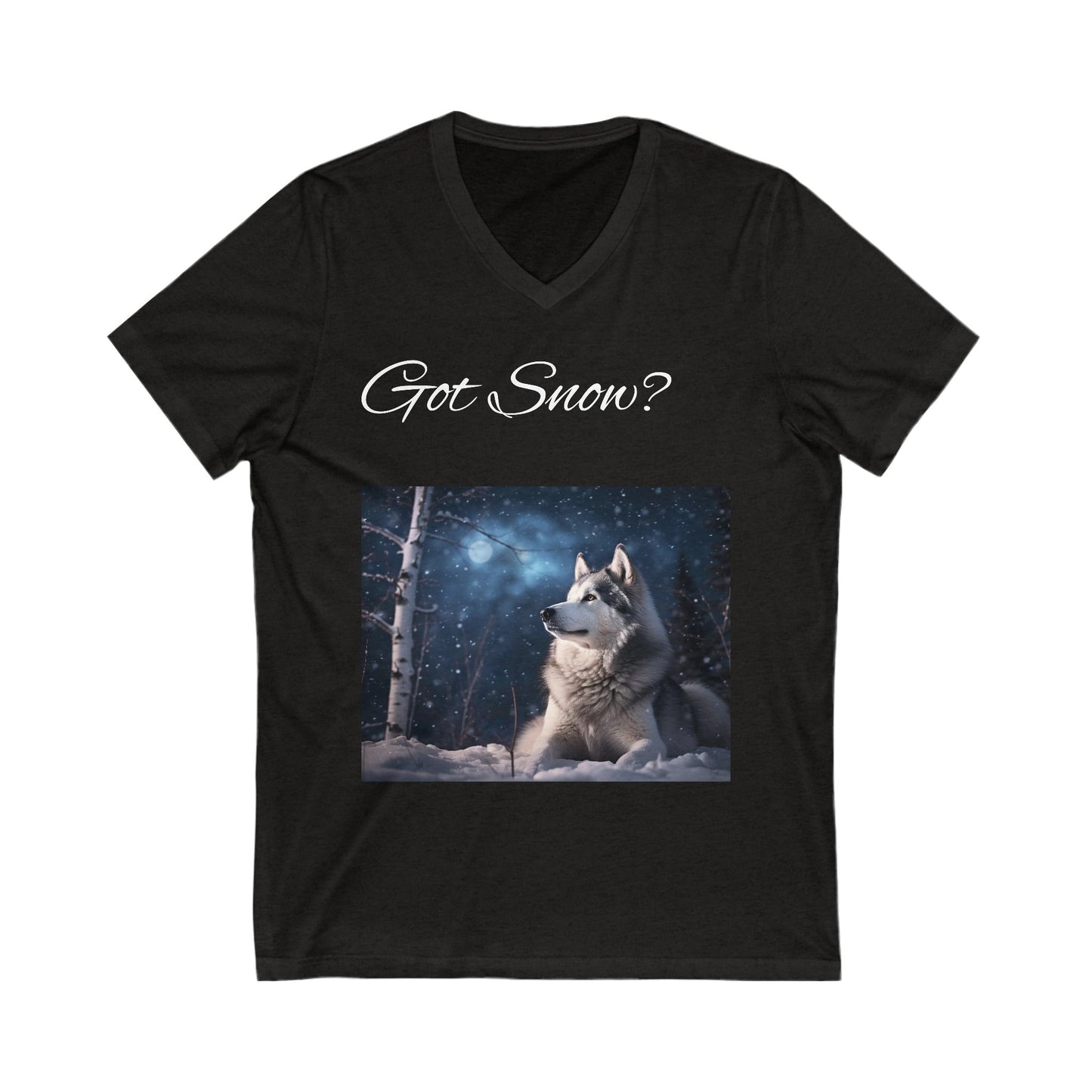 Got Snow? Unisex Short Sleeve V-Neck Tee