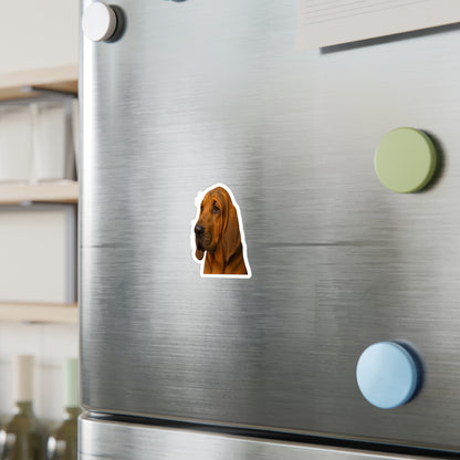 Bloodhound Head Vinyl Decal
