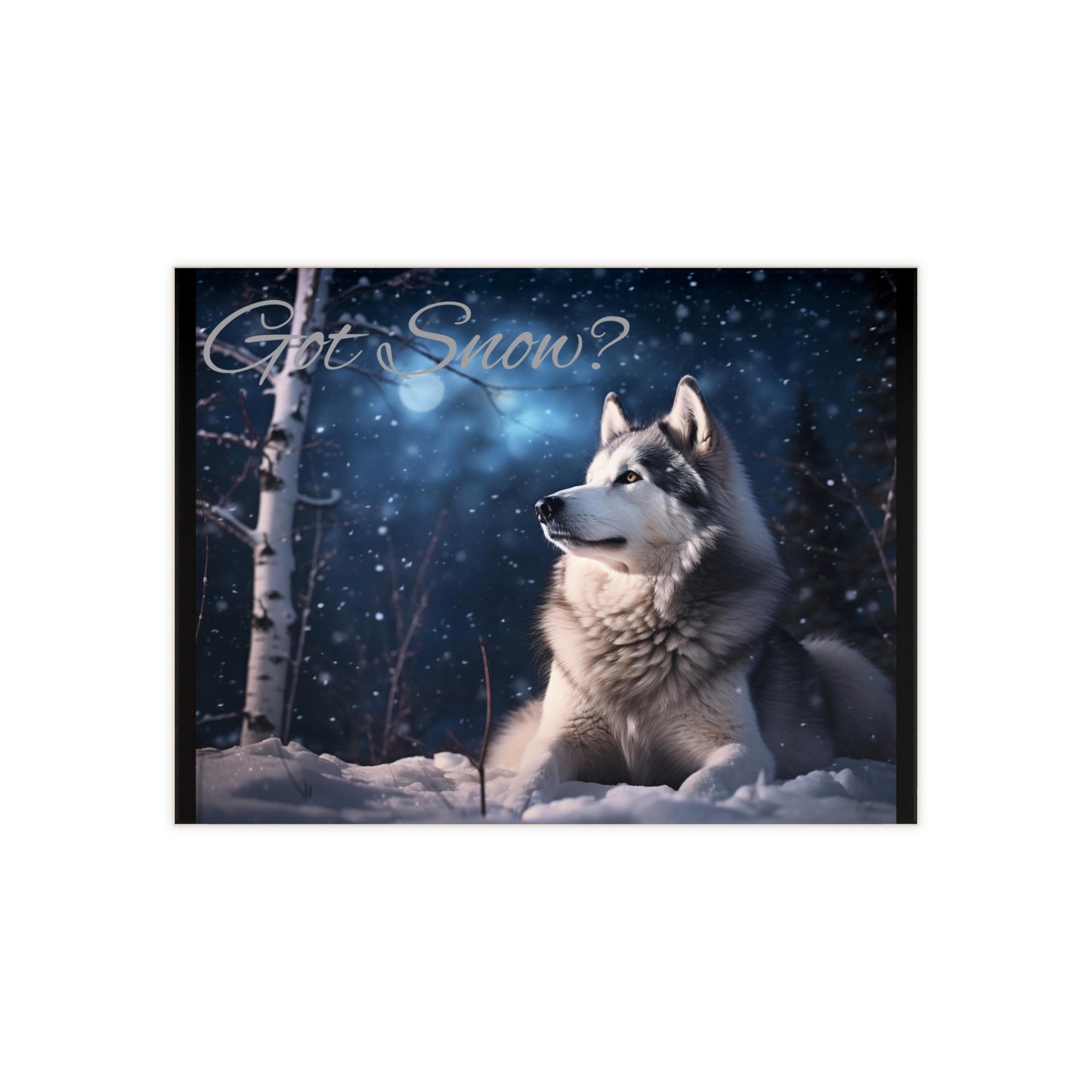 Got Snow? Ceramic Photo Tile
