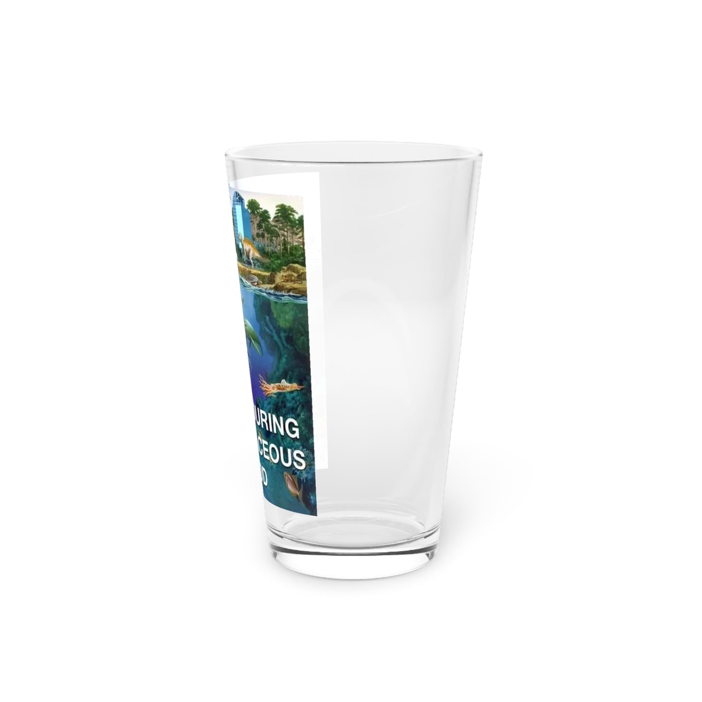 I-4 Eyesore Drinking Glass