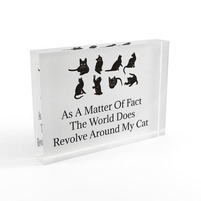 Matter Of Fact Cat Acrylic Photo Block