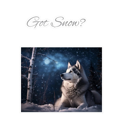 Got Snow? Vinyl Decal