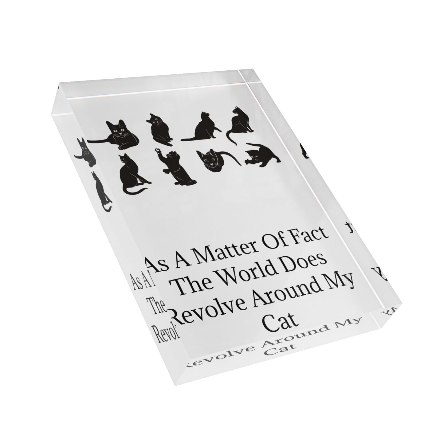 Matter Of Fact Cat Acrylic Photo Block