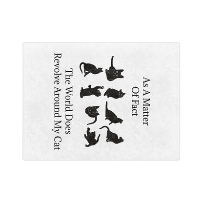 Matter Of Fact Cat Velveteen Microfiber Blanket