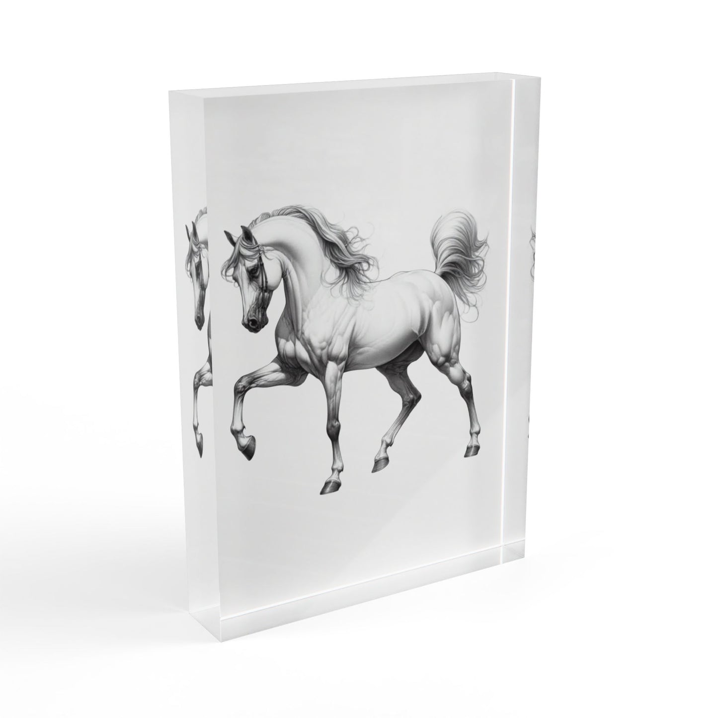 Fancy Pants Acrylic Photo Block