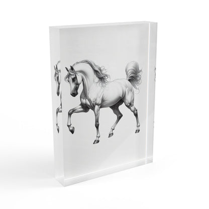 Fancy Pants Acrylic Photo Block