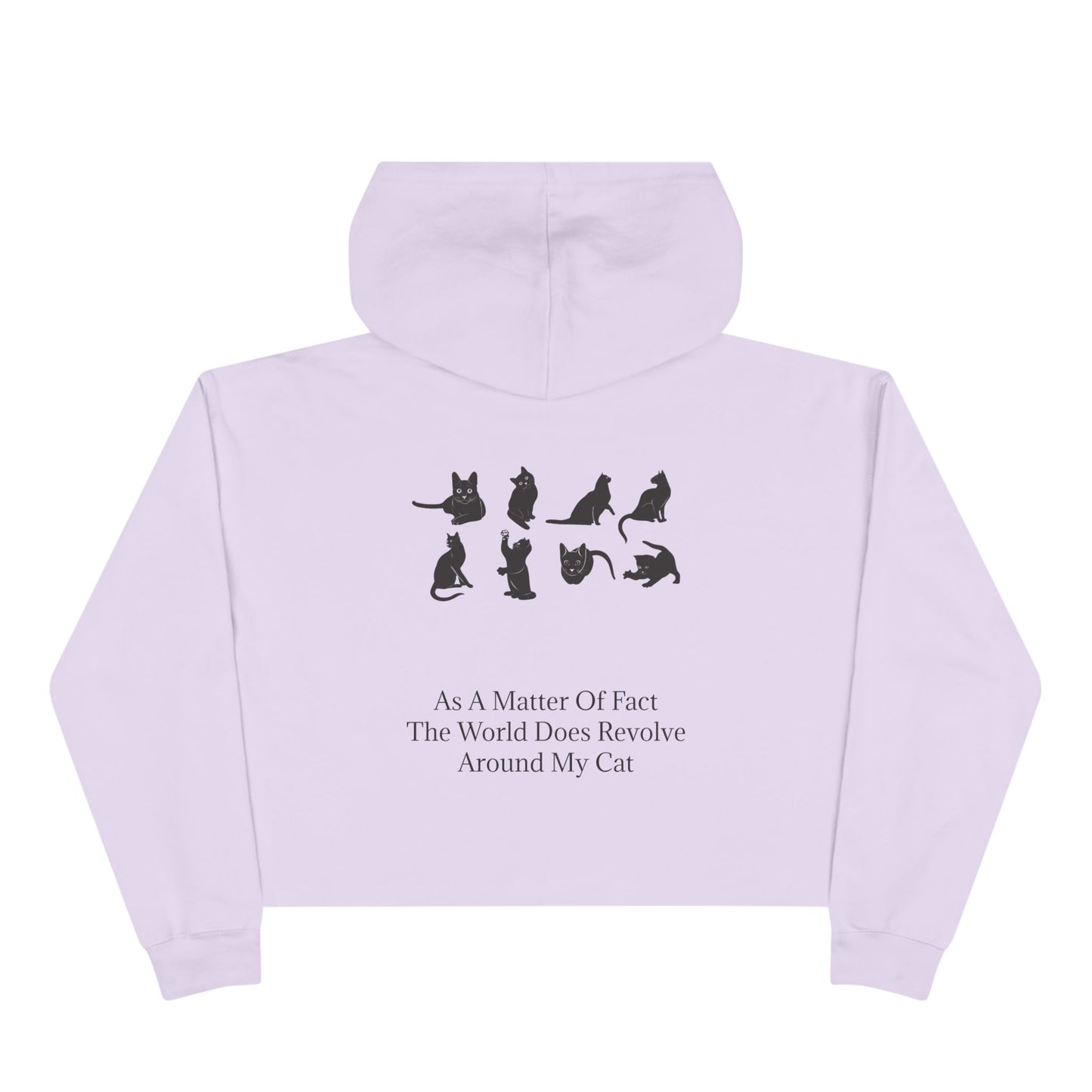 Matter Of Fact Cat Women's Crop Hoodie