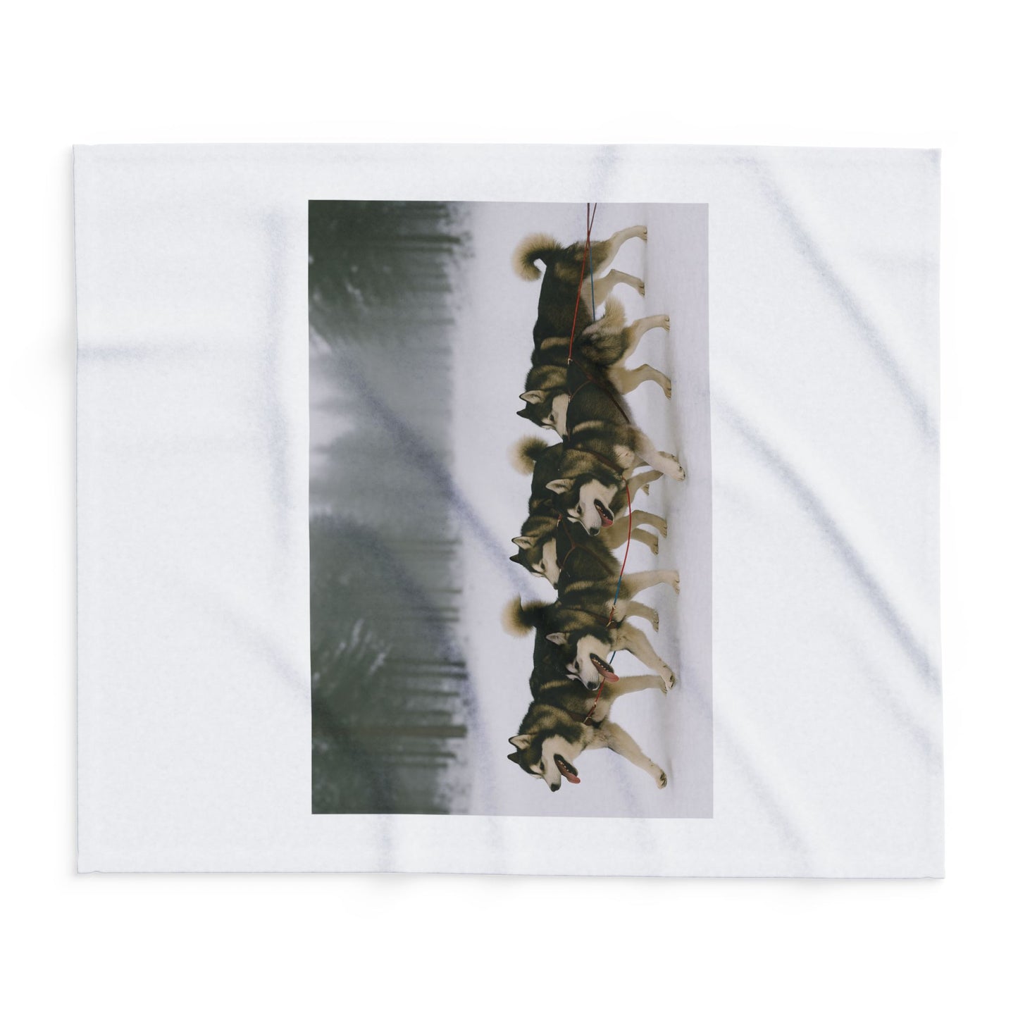 Mush On Arctic Fleece Blanket